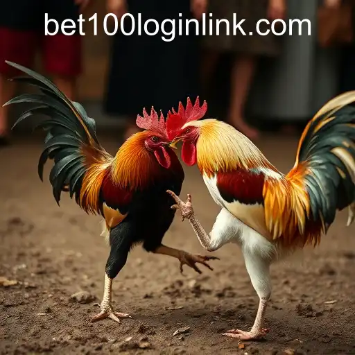 Cockfighting: Tradition and Controversy